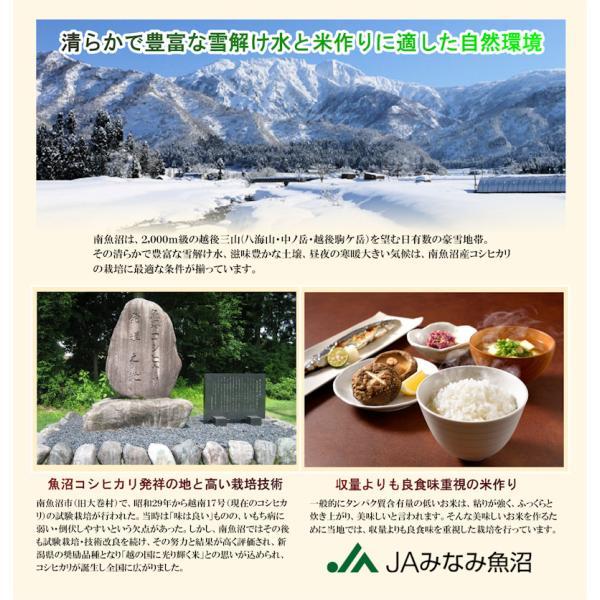 コシヒカリ 令和7年産 南魚沼産 30kg 無洗米 新潟県 南魚沼 JAみなみ