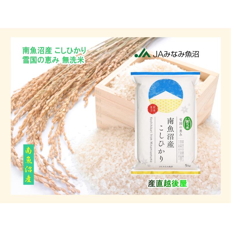 コシヒカリ 令和7年産 南魚沼産 5kg 無洗米 新潟県 南魚沼 JAみなみ