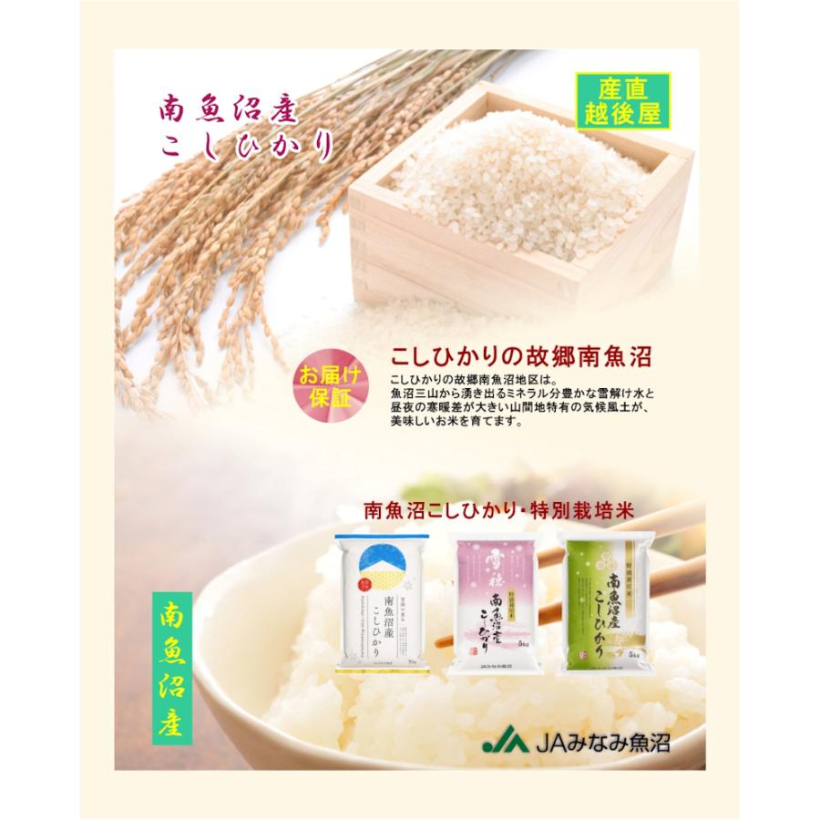 コシヒカリ 令和7年産 新米 南魚沼産 5kg 無洗米 新潟県 南魚沼 JA
