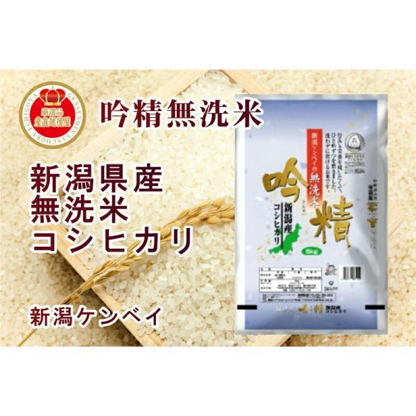 令和6年産 新潟県産 無洗米 コシヒカリ30kg 吟精無洗米 新潟