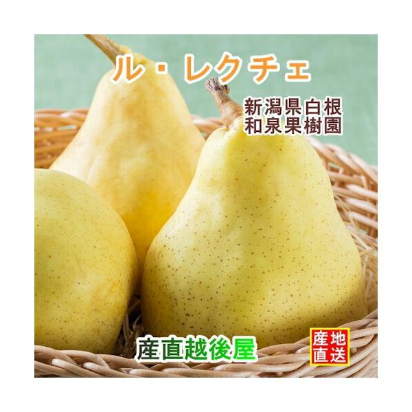 フルーツ 梨 洋梨 ルレクチェ 新潟県白根 梨栽培農家 和泉果樹園 有機質肥料栽培 ルレクチェ 3kg 6個 9個 化粧箱入 送料無料 Izumi Re3k 産直越後屋 通販 Yahoo ショッピング