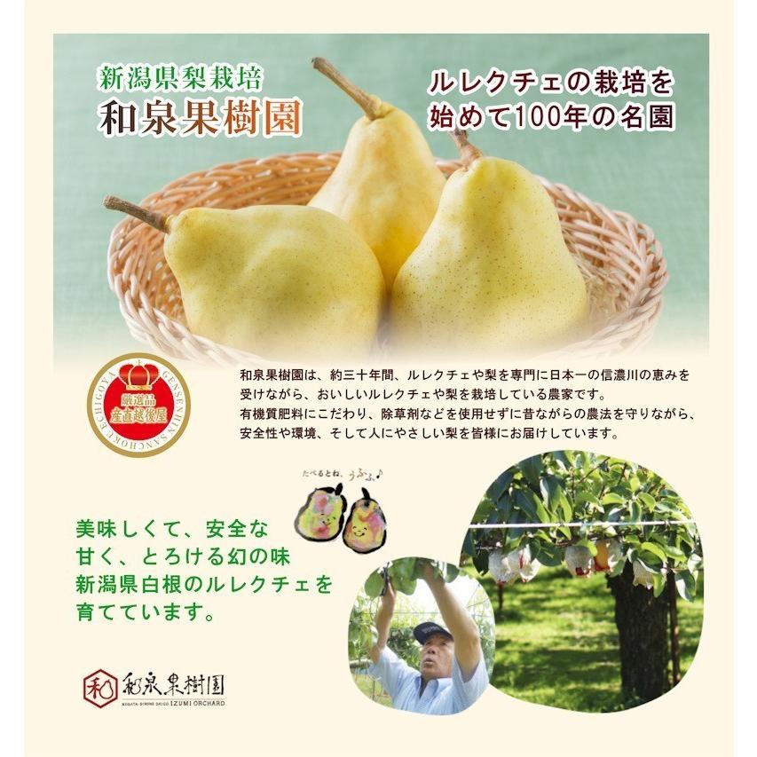 フルーツ 梨 和梨 新興 新潟県白根 梨栽培農家 和泉果樹園 有機質肥料栽培 新興梨 5kg 7個 10個 化粧箱入 送料無料 Izumi Sin5kg 産直越後屋 通販 Yahoo ショッピング