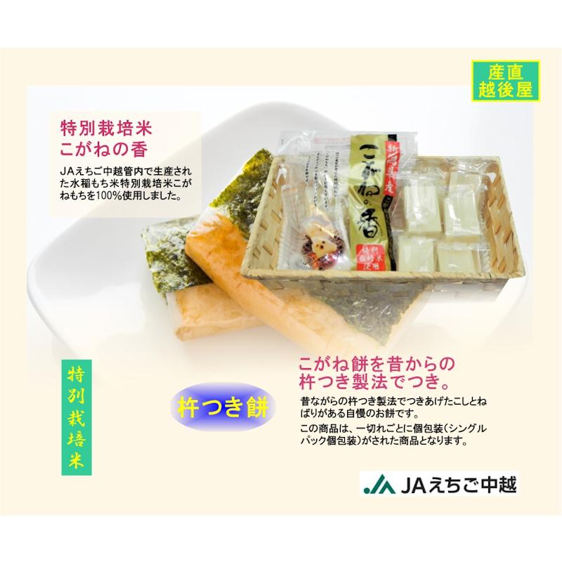 5kgこがねもち100％ 杵つき餅 白もち18枚お徳用 食品 5kgこがねもち100％ 杵つき餅 白もち18枚お徳用