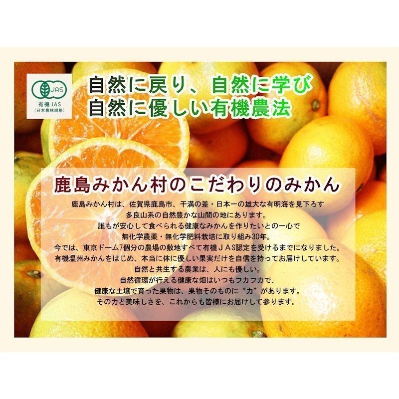 フルーツ みかん 有機栽培 甘夏 佐賀県 鹿島市 有機みかん佐藤農場 有機栽培 甘夏 9kg 採りたてを農園から産地直送 送料無料｜etigoya2012｜04