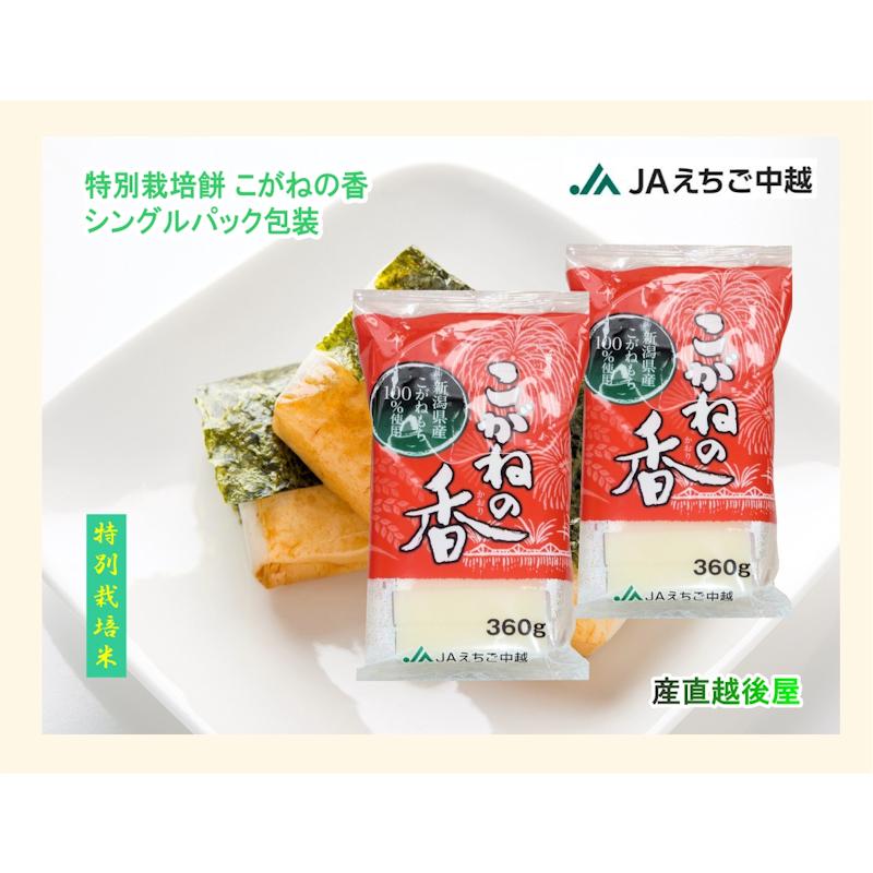 こがねもち 新潟県 JAえちご中越農協産 杵つきこがね餅 360g(8枚入