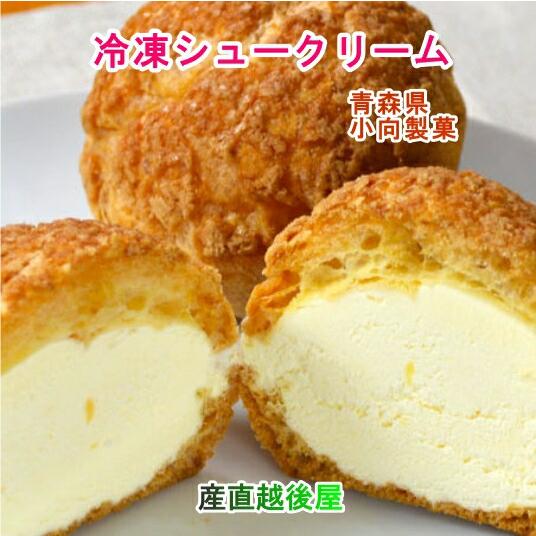 父の日 スイーツ 洋菓子 冷凍シュークリーム 青森県創作洋菓子店 小向製菓 冷凍シュー ショコラ味 10個 送料無料 Supersport Tn