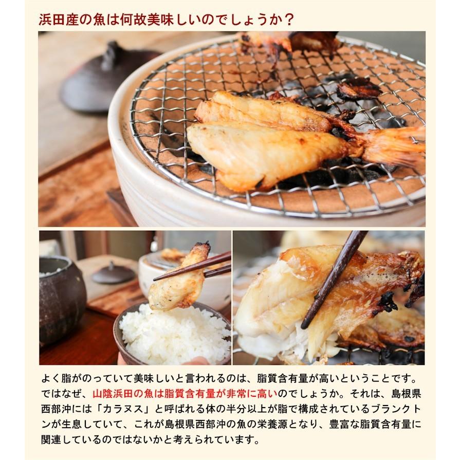 魚 干物 アジ 冷凍 島根県浜田港 干物の河野乾魚店 干物アジ 小5枚 どんちっちアジ 送料無料 Kouno Ai5 産直越後屋 通販 Yahoo ショッピング