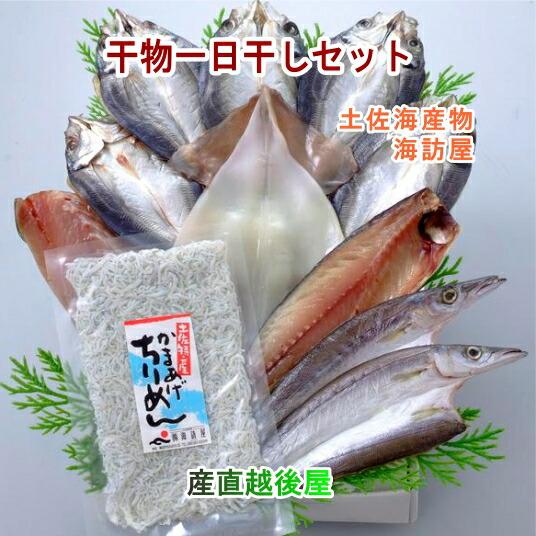 魚 海産物 干物 詰合せ 高知県高知市場 土佐海産物 海訪屋 厳選１日干セット 送料無料 冷凍便でお届け Mihoya H1 産直越後屋 通販 Yahoo ショッピング