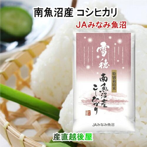 令和7年産 新米 魚沼産 コシヒカリ 新潟県南魚沼産 特A地区