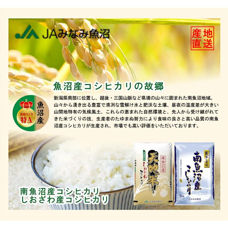 令和５年産  南魚沼産 コシヒカリ5kg 雪穂 新潟県 南魚沼 JAみなみ魚沼農協 特Ａ地区 特別栽培米 送料無料【お米 こしひかり ギフト グルメ】｜etigoya2012｜03