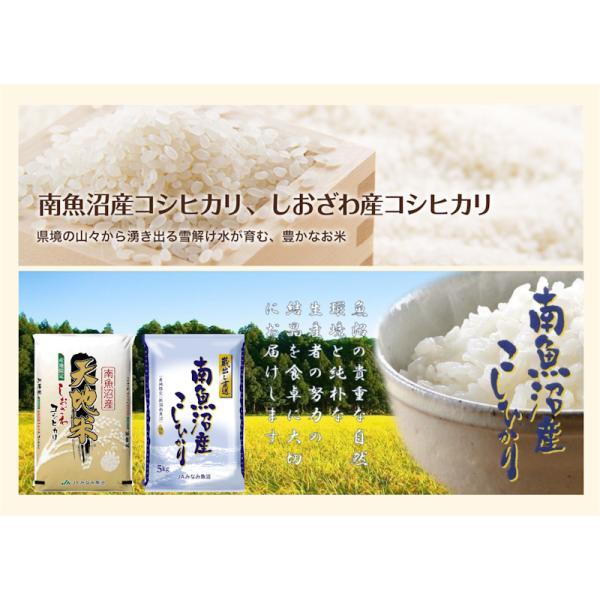 コシヒカリ 令和6年産 南魚沼産 コシヒカリ5kg 雪穂 新潟県 コシヒカリ 令和6年産 南魚沼産 コシヒカリ5kg 雪穂 新潟県