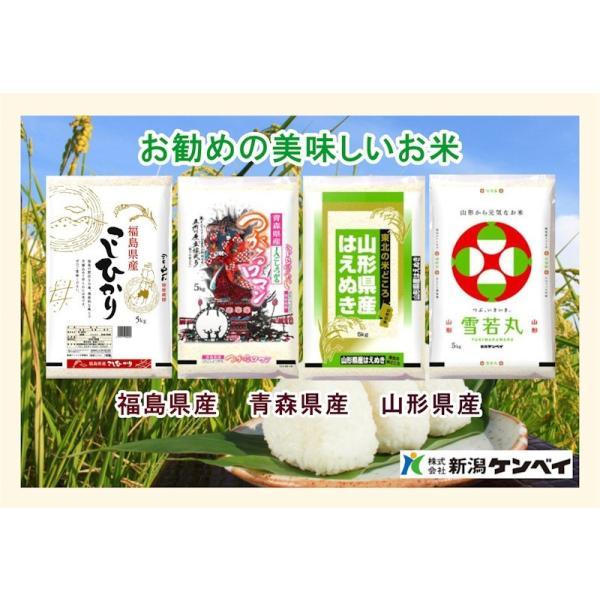 令和6年産 魚沼産 コシヒカリ 新潟県南魚沼産 特A地区 令和6年産 魚沼産 コシヒカリ 新潟県南魚沼産 特A地区