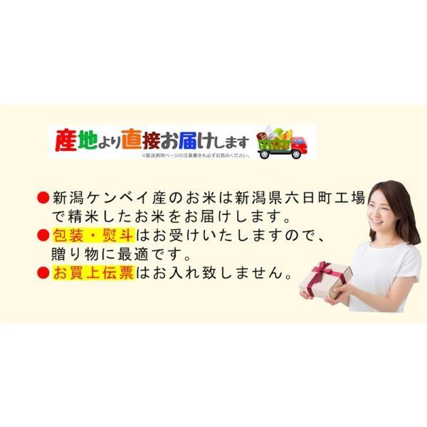 令和6年産 魚沼産 コシヒカリ 新潟県南魚沼産 特A地区 令和6年産 魚沼産 コシヒカリ 新潟県南魚沼産 特A地区