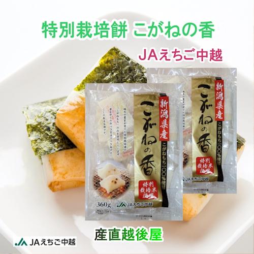 こがねもち 新潟県 JAえちご中越農協産 杵つきこがね餅 360g(8枚入