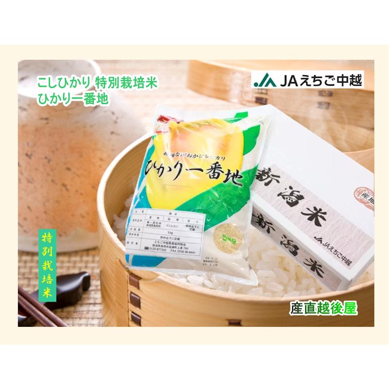 コシヒカリ 令和7年産 20kg 特A地区 特別栽培米 新潟産 JAえちご中越