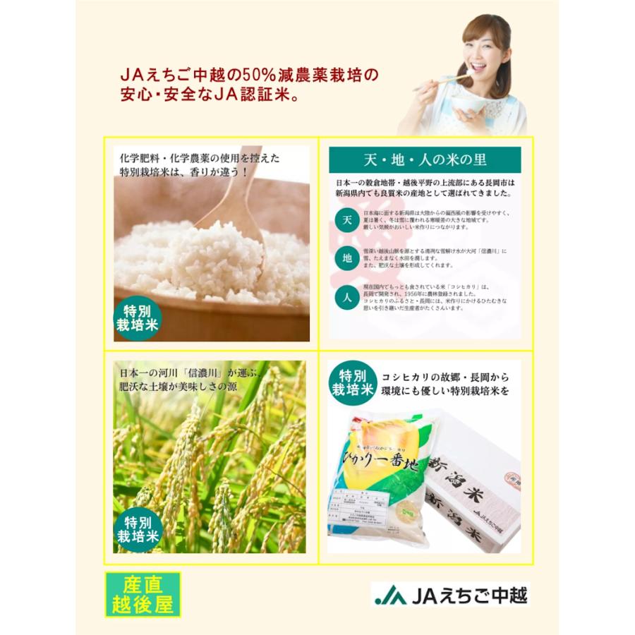 コシヒカリ 令和7年産 20kg 特A地区 特別栽培米 新潟産 JAえちご中越 