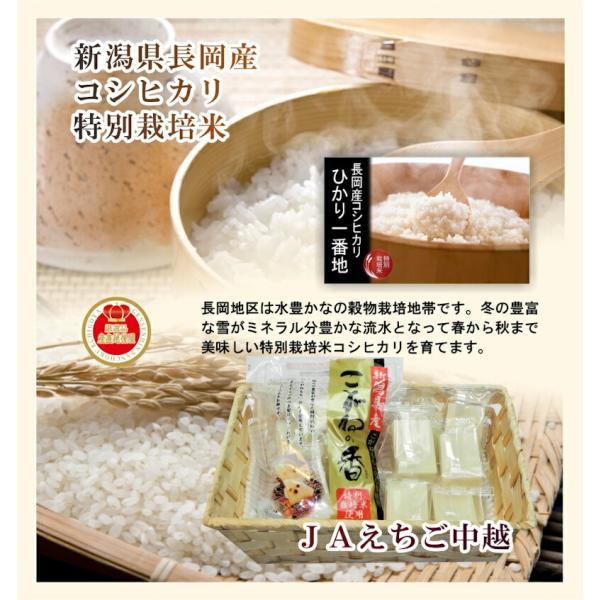 コシヒカリ 令和6年産 新潟産 新潟県 JAえちご中越農協 新潟県 コシヒカリ 令和6年産 新潟産 新潟県 JAえちご中越農協 新潟県