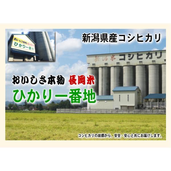 コシヒカリ 令和6年産 新潟産 新潟県 JAえちご中越農協 新潟県 コシヒカリ 令和6年産 新潟産 新潟県 JAえちご中越農協 新潟県
