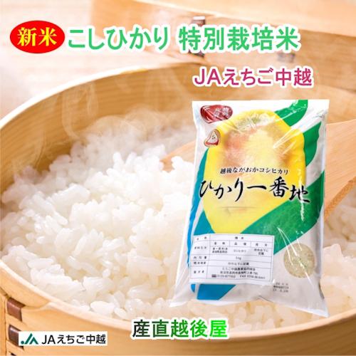 令和7年産 あきたこまち50% 新潟コシヒカリ50% ブレンド米 30kg Amazon