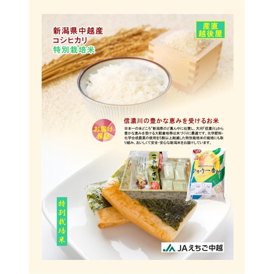 コシヒカリ 令和7年産 30kg 特A地区 特別栽培米 新潟産 JAえちご中越 