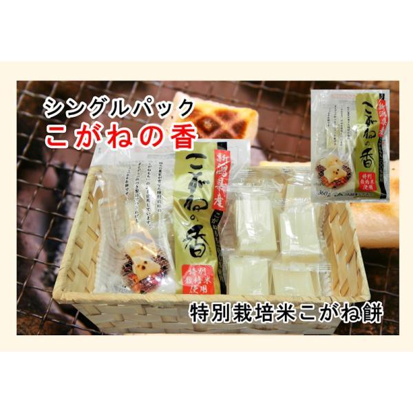 こがねもち 新潟県 JAえちご中越農協産 杵つきこがね餅 360g(8枚 こがねもち 新潟県 JAえちご中越農協産 杵つきこがね餅 360g(8枚