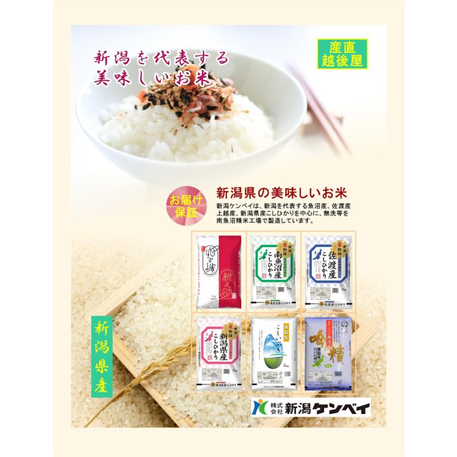 令和7年産 新潟産 にじのきらめき 新潟米 5kg JA農協米 新潟