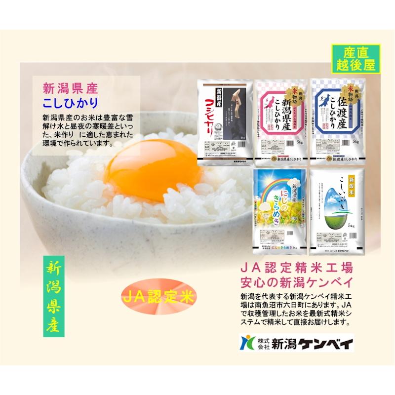 令和7年産 新潟産 にじのきらめき 新潟米 5kg JA農協米 新潟