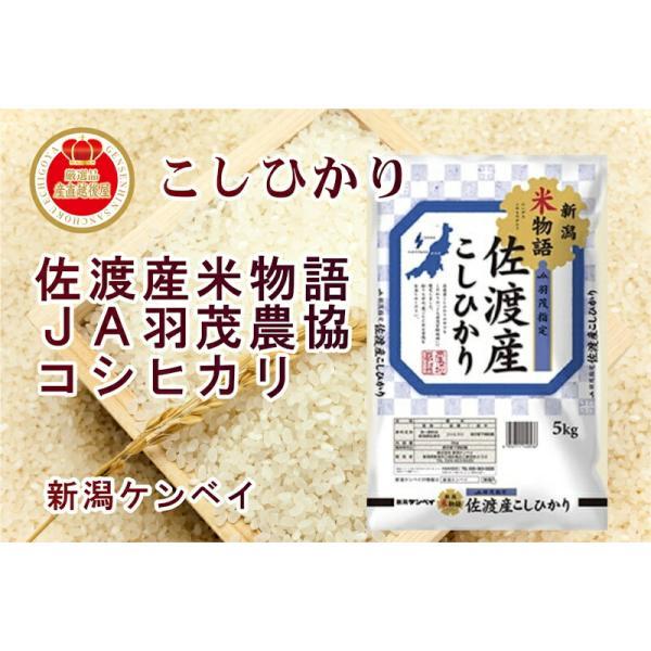 令和6年産 新潟県産 コシヒカリ 新潟県佐渡 JA羽茂農協