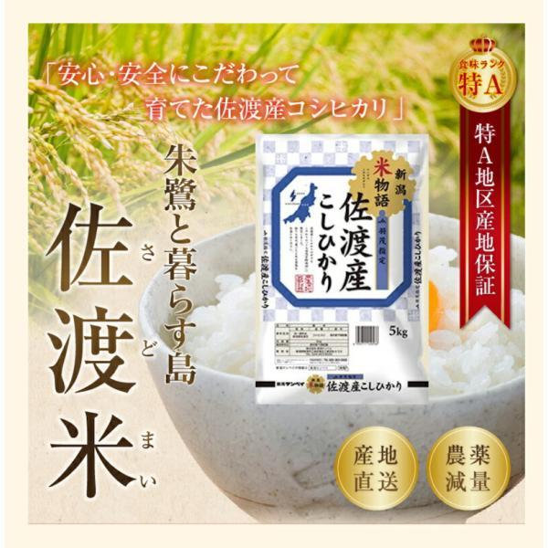 令和6年産 新潟県産 コシヒカリ 新潟県佐渡 JA羽茂農協