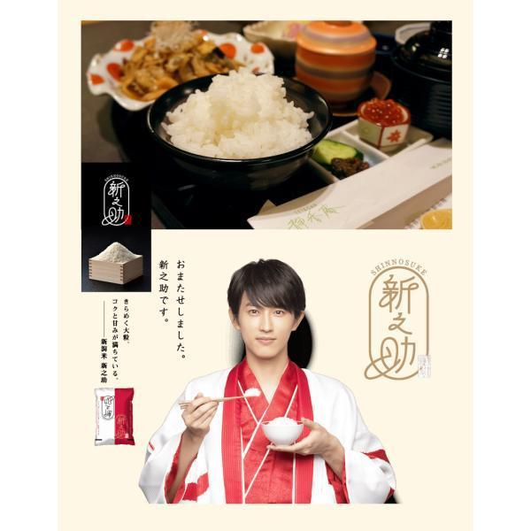 令和7年産 新之助 新潟県産 新潟県 新潟県認証 新ブランド米 20kg