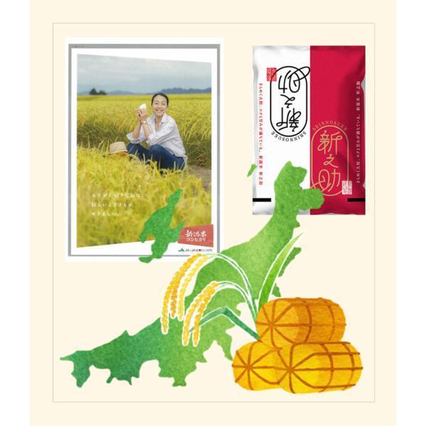 令和7年産 新之助 新潟県産 新潟県 新潟県認証 新ブランド米 20kg