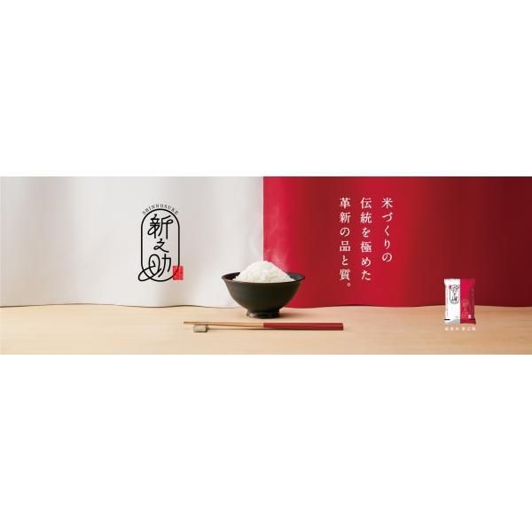 令和7年産 新之助 新潟県産 新潟県 新潟県認証 新ブランド米 20kg