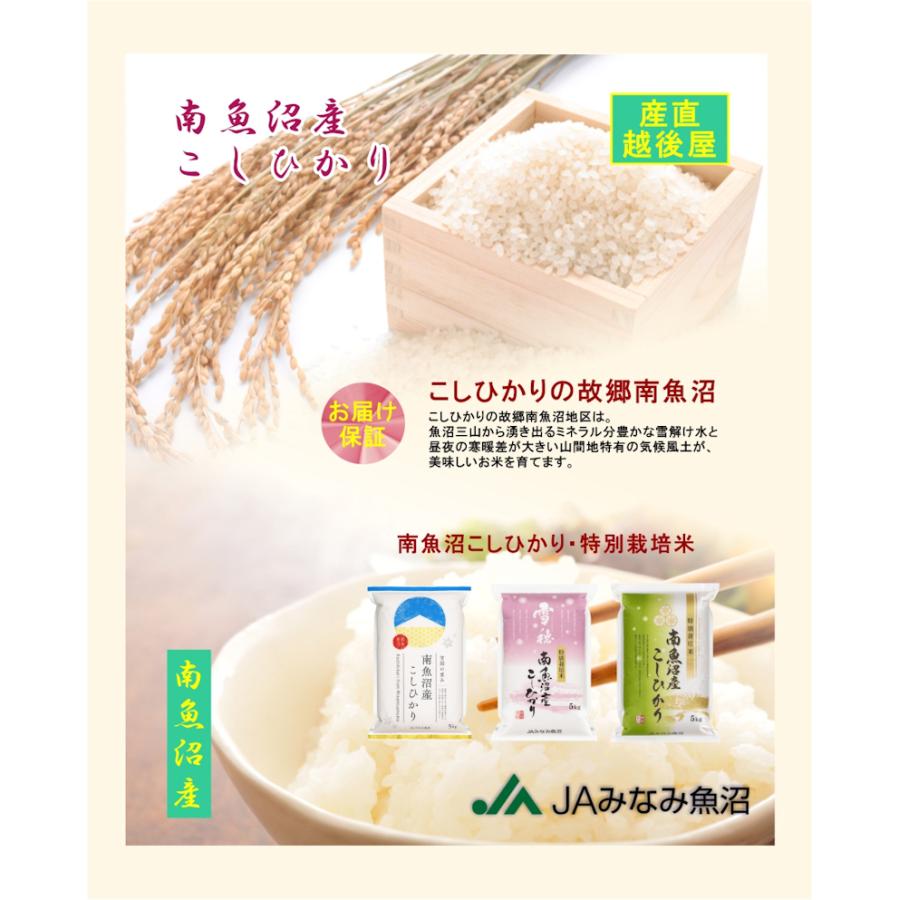 コシヒカリ 令和7年産 新米 南魚沼産 2kg 新潟県 南魚沼 JAみなみ魚沼