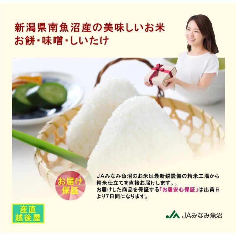 コシヒカリ 令和7年産 新米 南魚沼産 2kg 新潟県 南魚沼 JA