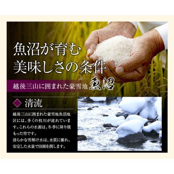 コシヒカリ 令和6年産 30kg 玄米 特A地区 魚沼産 新潟県 コシヒカリ 令和6年産 30kg 玄米 特A地区 魚沼産 新潟県