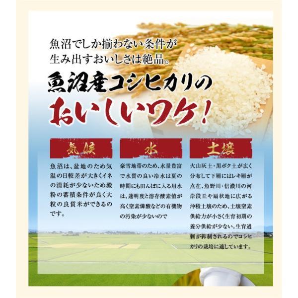 令和５年産  コシヒカリ 5kg 玄米 特Ａ地区 魚沼産 新潟県 南魚沼 JAみなみ魚沼農協 天地米 送料無料【お米 こしひかり ギフト グルメ】｜etigoya2012｜09