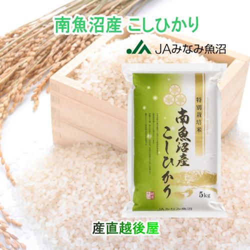 新潟県産コシヒカリ30kg 新潟産コシヒカリ 玄米 30kg 特別栽培 令和6年産 ｜お米通販