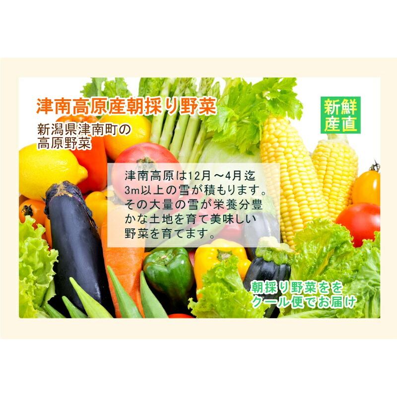 津南高原産 人参ジュース 新潟県 JA魚沼農協 天然素材100% 雪下人参