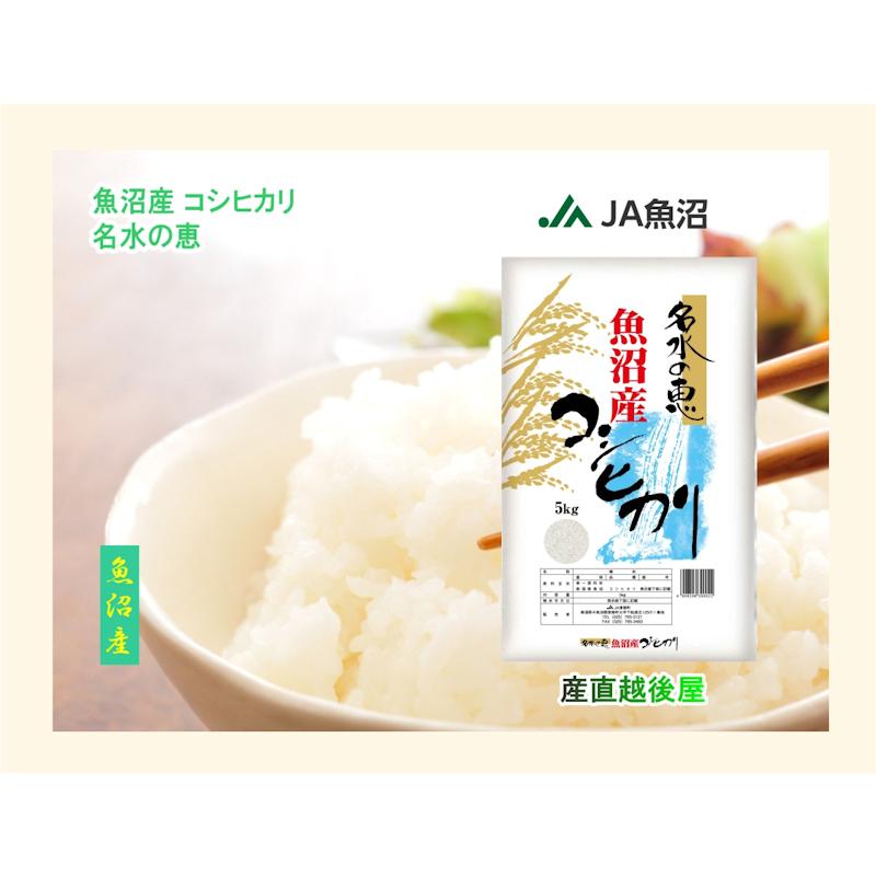 コシヒカリ 令和7年産 5kg 特A地区 魚沼産 新潟県 中魚沼 JA魚沼