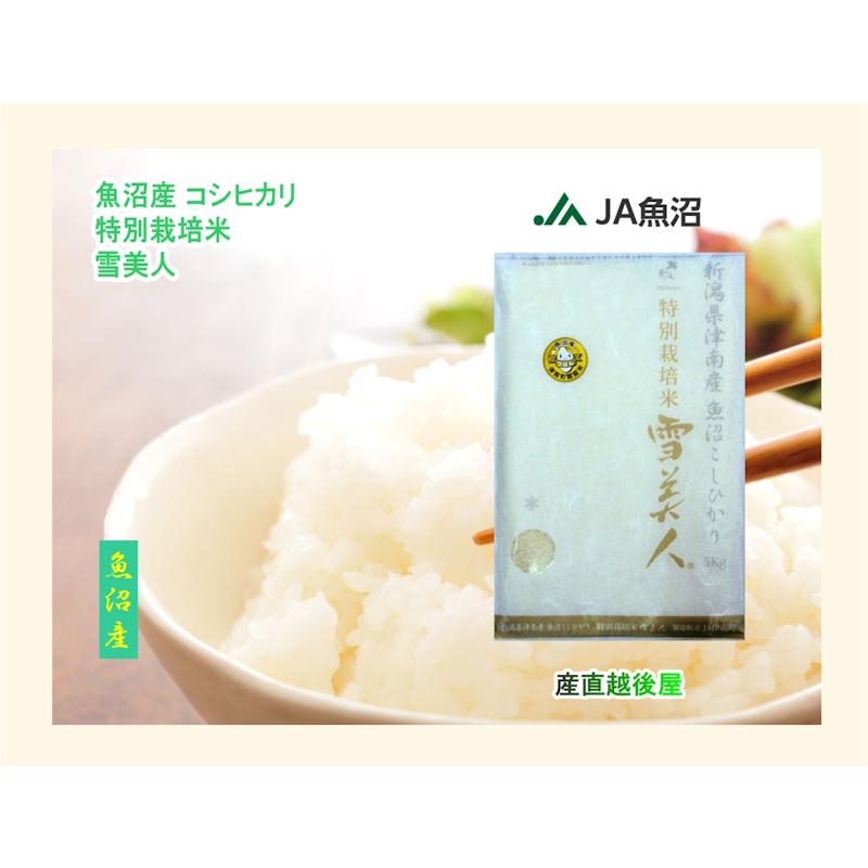 コシヒカリ 令和7年産 こしひかり 魚沼産 新潟県 特A地区 中魚沼 JA