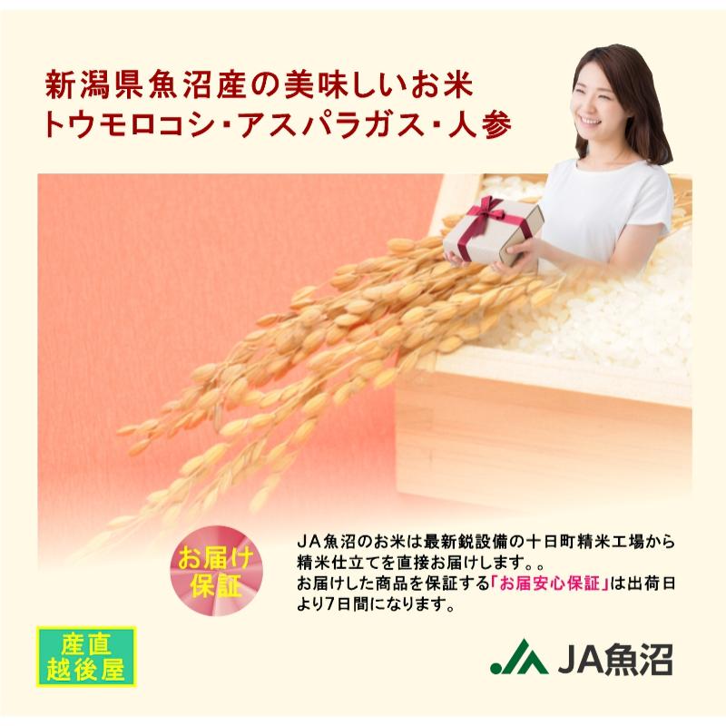 コシヒカリ 令和7年産 こしひかり 魚沼産 新潟県 特A地区 中魚沼 JA