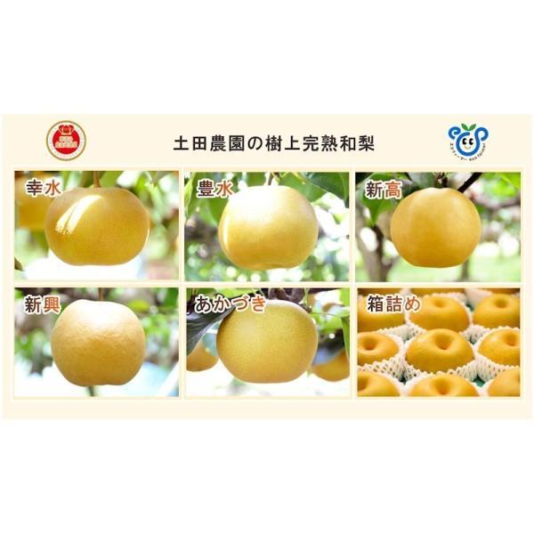 新潟県 エコファーマー認定農園 土田農園有機肥料栽培 幻の洋梨ルレクチェ家庭用 2kg(4個〜7個）送料無料【ル・レクチェ 梨 ギフト プレゼント】 【お中元】