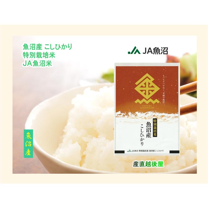 新米】特別栽培米 魚沼産コシヒカリ【10kg】 【公式通販】