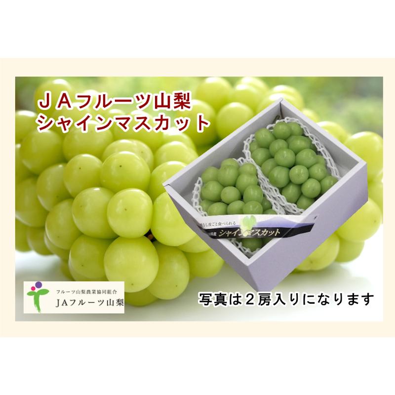 フルーツ ぶどう ブドウ 山梨県 JAフルーツ山梨 組合長推奨 シャインマスカット 路地栽培 最高品質 化粧箱1房入り 約600g 送料無料 yamabudour1産直越後屋 通販
