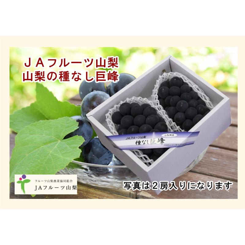 フルーツ ぶどう ブドウ 山梨県 JAフルーツ山梨 組合長推奨 種なし巨峰 路地栽培 最高品質 化粧箱2房入り 約1.2kg 送料無料 yamakiyohour2産直越後屋 通販