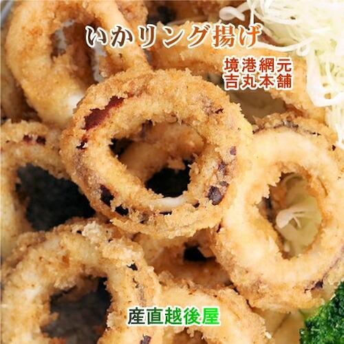 ふるさと割 魚介類 水産加工品 いかリング 鳥取県 堺港市 網元吉丸水産 いかリングフライ 160g 1パック 冷凍保存 送料無料 Supplystudies Com