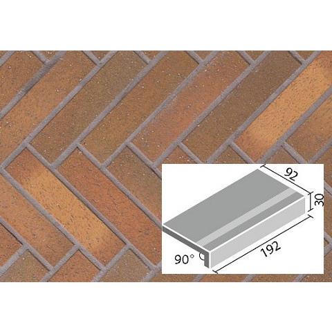 パティーノ 200×100mm角垂れ付き段鼻 PTI-201/4 / LIXIL INAX 外装床タイル