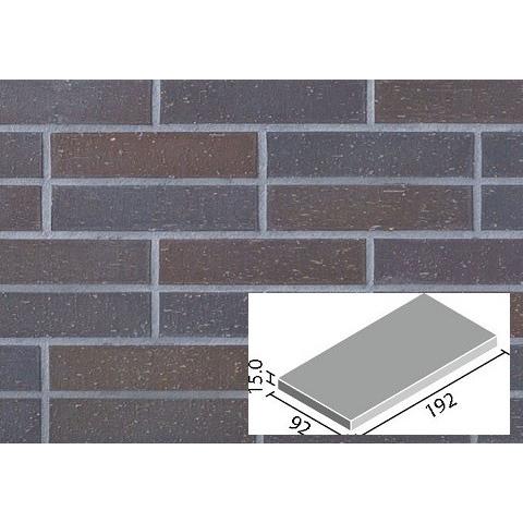 LIXIL（リクシル） パティーノ 200×100mm角平 PTI-210/6 / LIXIL INAX