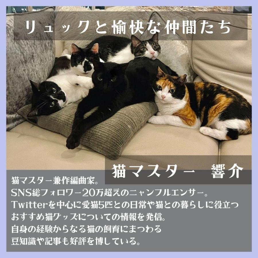 送料無料】エチケットブラシ ちょこっと掃除 ポポロン 猫 キャット