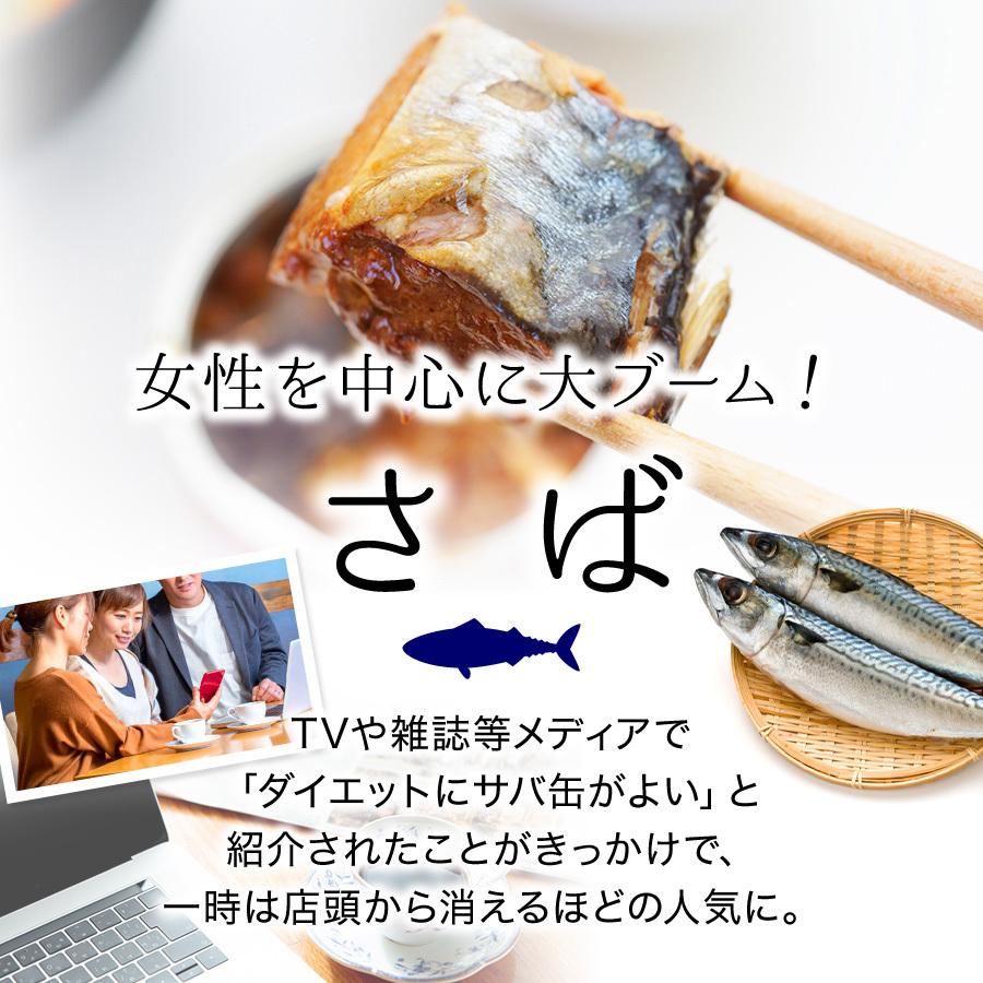 父の日 2026 ギフト 世界の鯖料理 サバロード 温めるだけ レトルト 魚 鯖 惣菜 選べる 6種12袋 さば サバ 鯖缶 サバ缶 調理済 時短 ((常温))_12